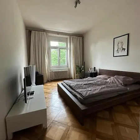 Cozy With Rooftop Lejlighed Zürich